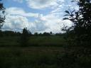 finnish summer landscape